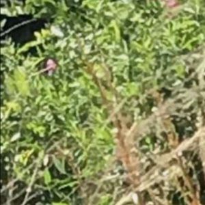 Meet your Posher, Charles